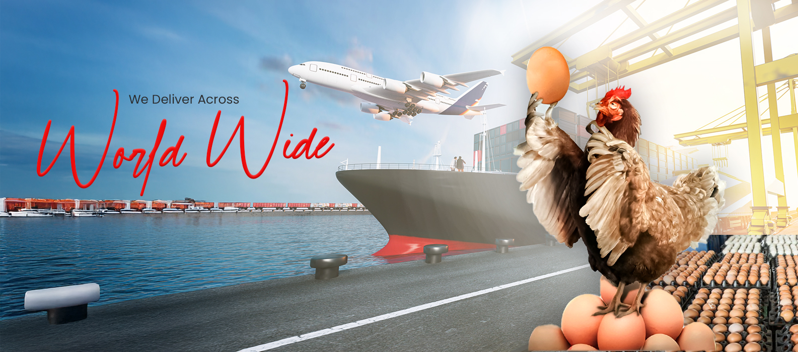 Background Image 1